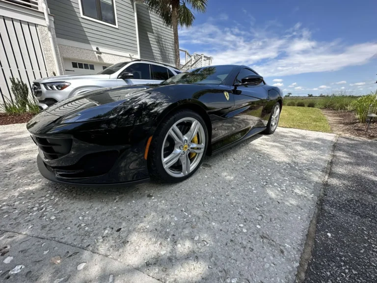 Black Ferrari after a full detail